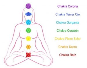 7 chakras moy